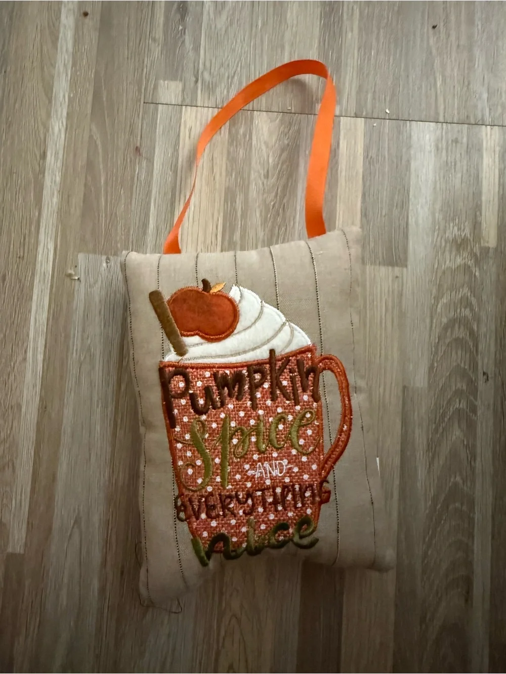 Pumpkin Spice Fall Pillow Hanger Cloth Decor Latte 5x7